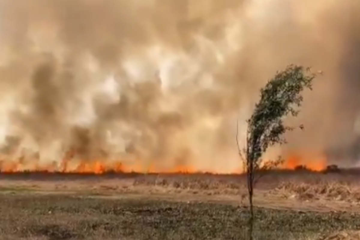 Sofocan incendio en avenida Muyuguarda, Xochimilco
