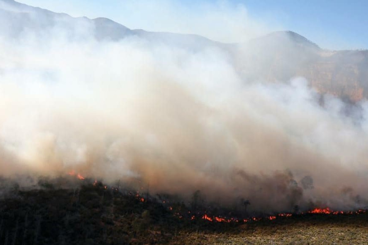 Fiscalía de Coahuila busca a responsables del incendio en la Sierra de Arteaga