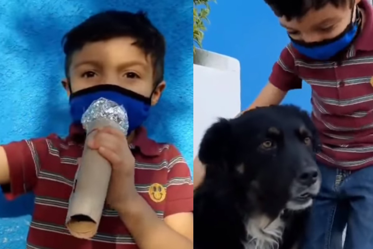 Niño se roba el corazón de todos con su reportaje de perritos callejeros