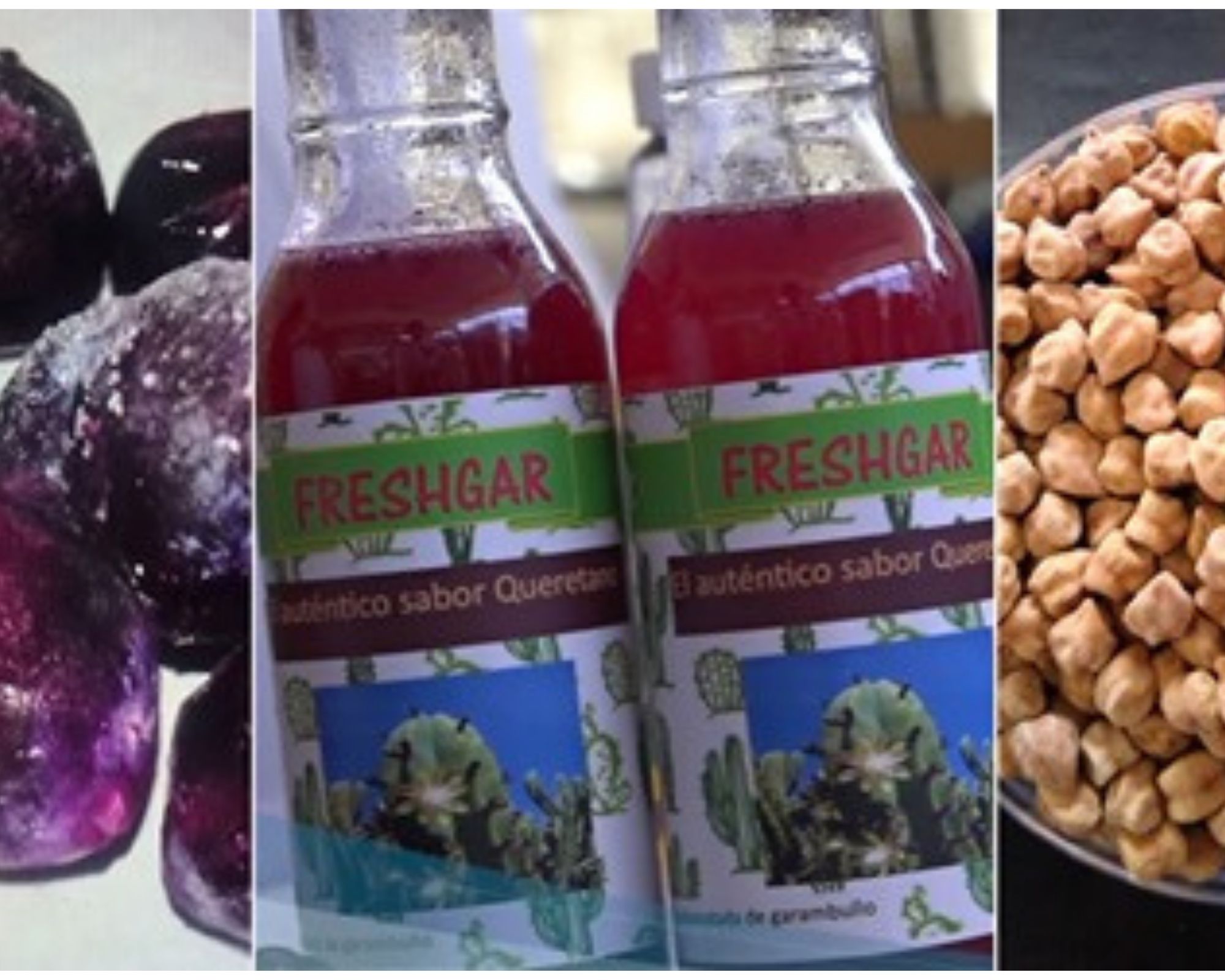 UNAM crea sano y rico refresco de origen vegetal