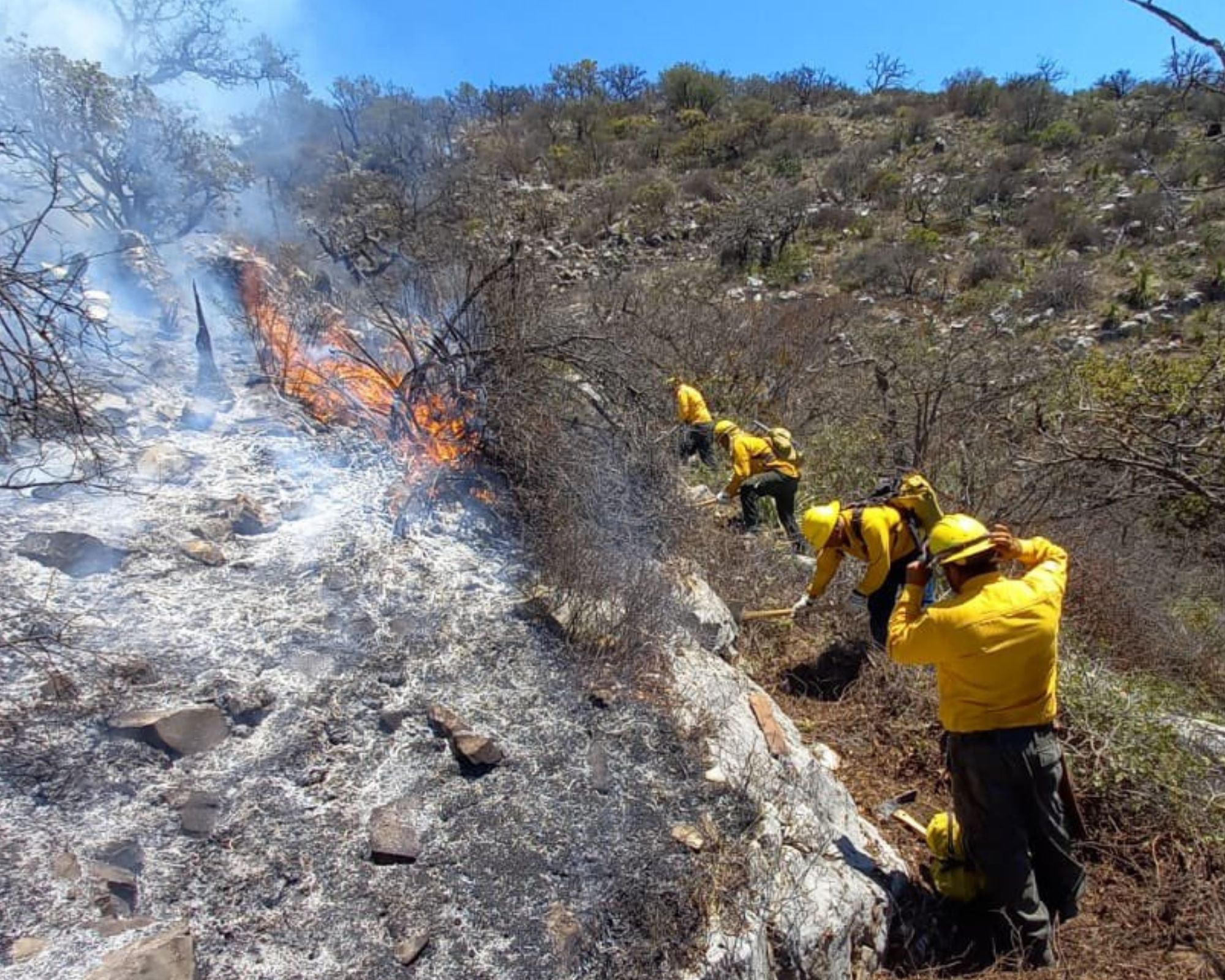 Incendio forestal destruye gran parte de la sierra de Zaragoza en Nuevo León