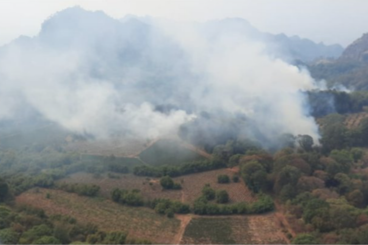 Controlan incendio en El Tepozteco; fueron más de 500 vuelos para sofocarlo