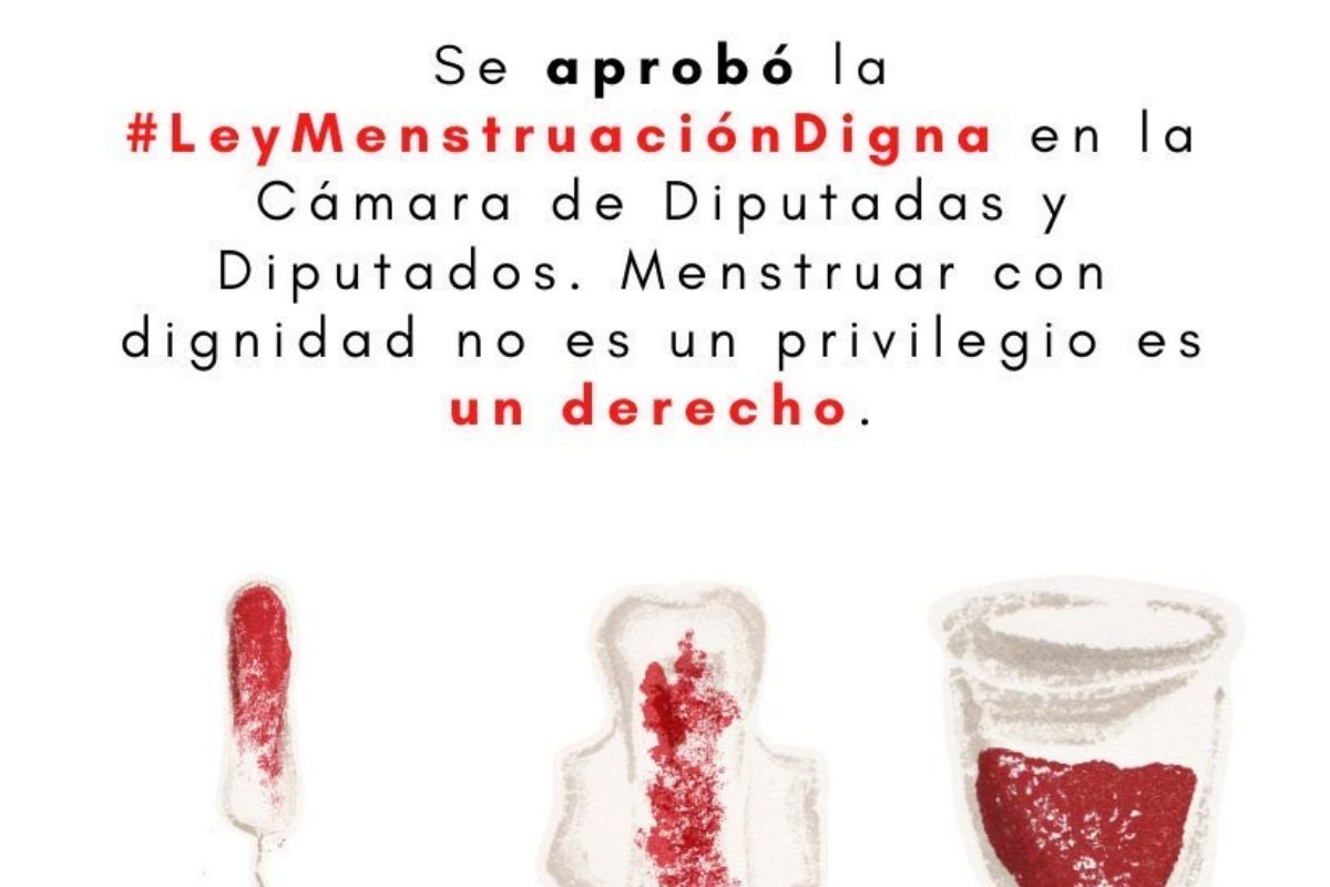 Diputados aprueban gratuidad de productos menstruales en escuelas