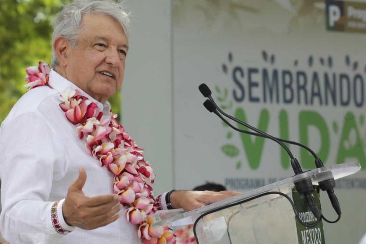 EU no estaría interesado en extender programa Sembrando Vida a Centroamérica