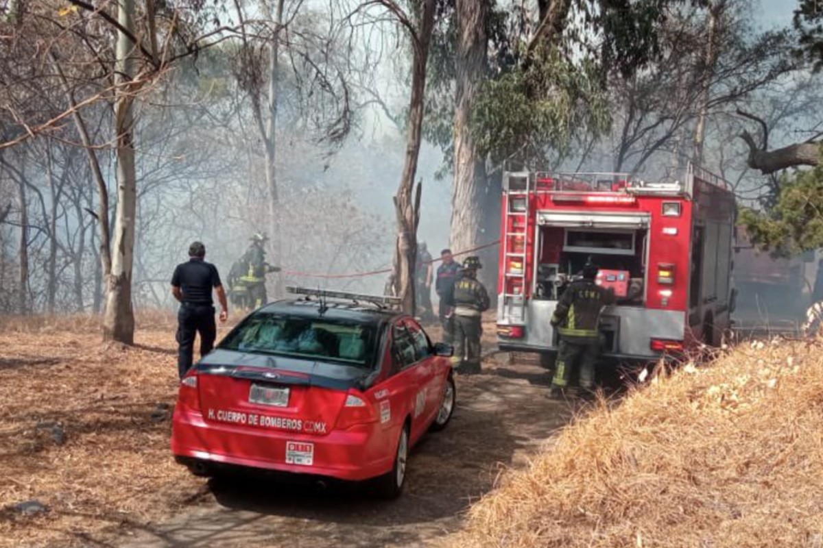 Se registra incendio en tercera sección del Bosque de Chapultepec