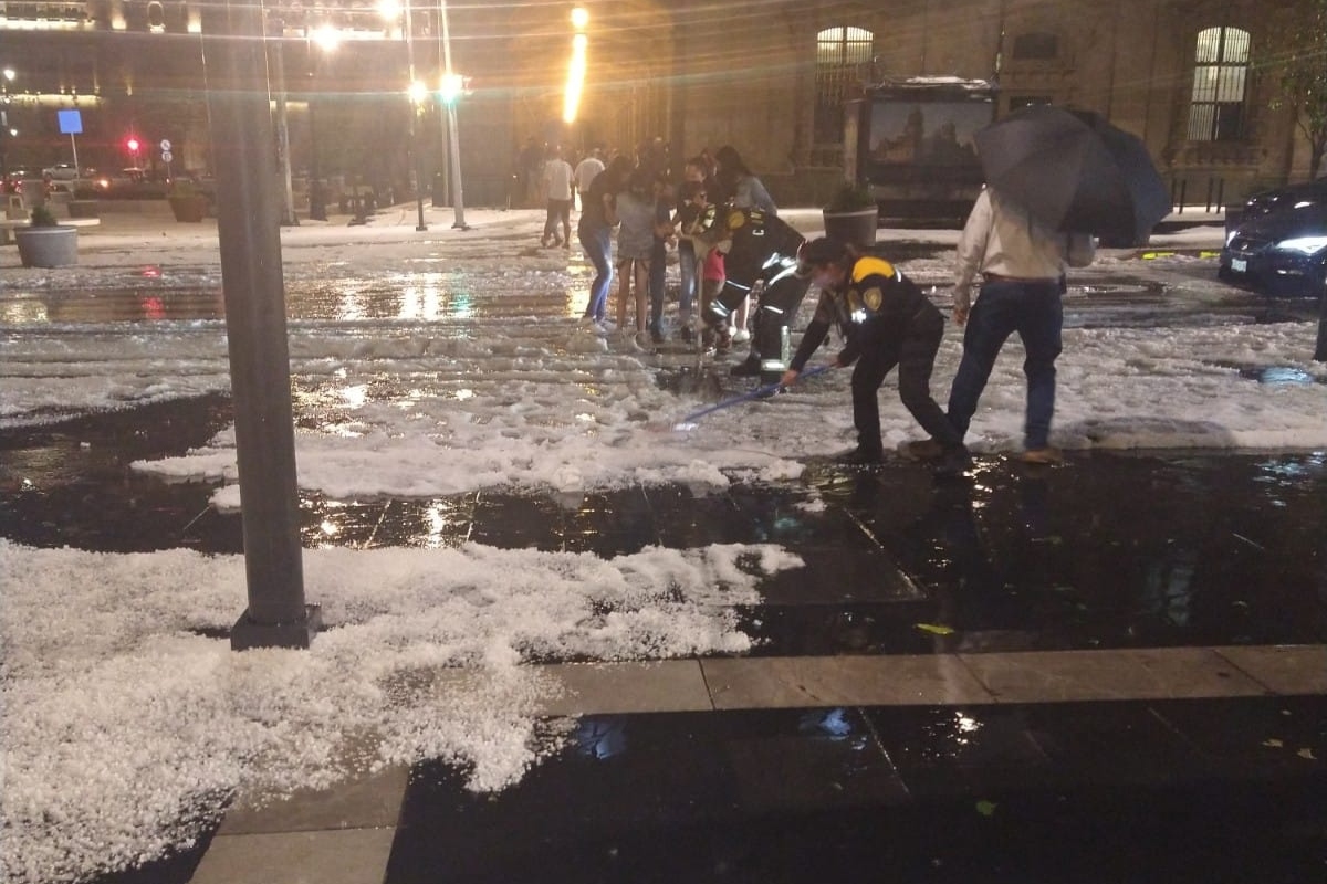 Caen 8 árboles, 5 ramas y 3 techumbres tras granizada en la CDMX