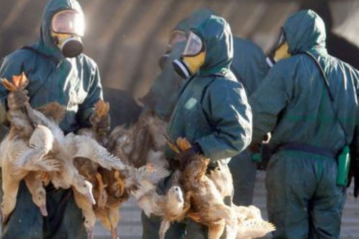 Científicos chinos alertan de riesgo de una segunda pandemia más “desastrosa” que el Covid-19