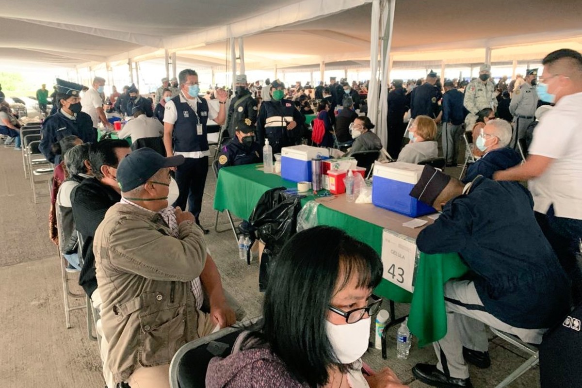 México registra 221 muertes por Covid-19 en un día; suman 232 mil 068