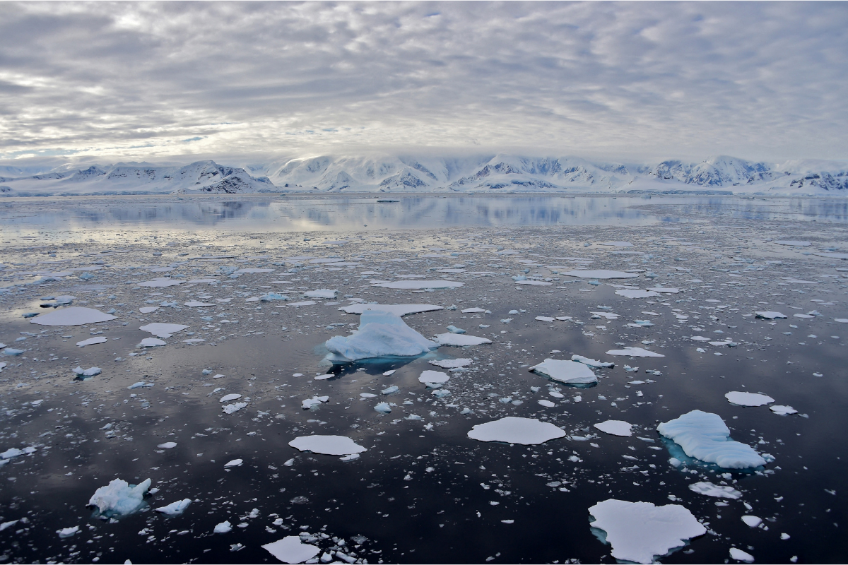 Antártida bate récord de temperatura en 2020, alcanza los 18.3 °C