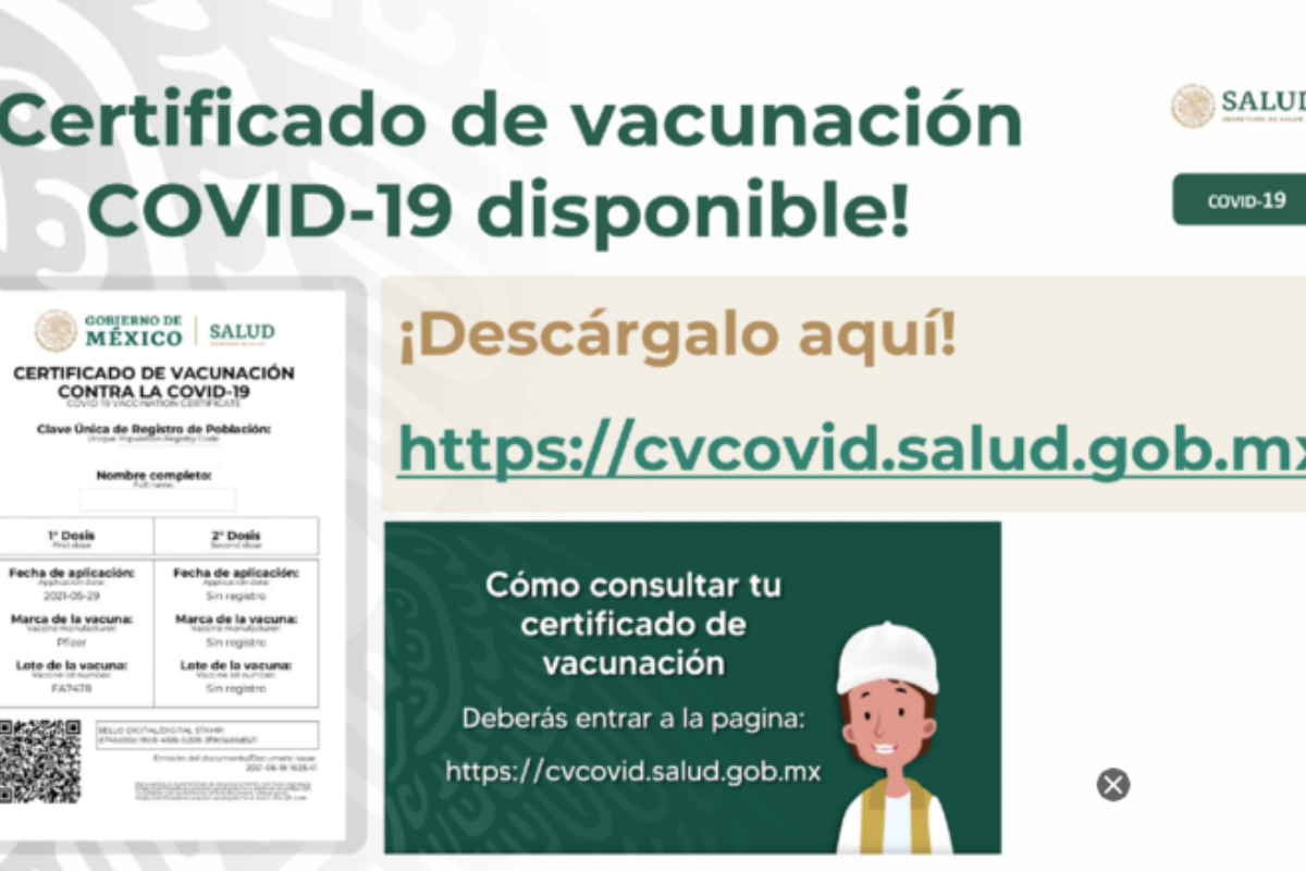 ¡Cuidado! De portar certificado de vacunación falso podrían pasar hasta 8 años en la cárcel