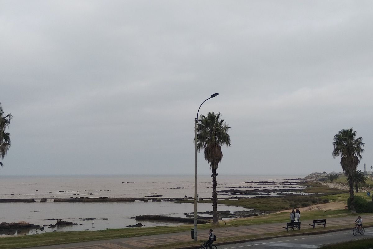 ¡Qué peligro! ¿Un “bamboleo” en la Luna provocará inundaciones en la Tierra?