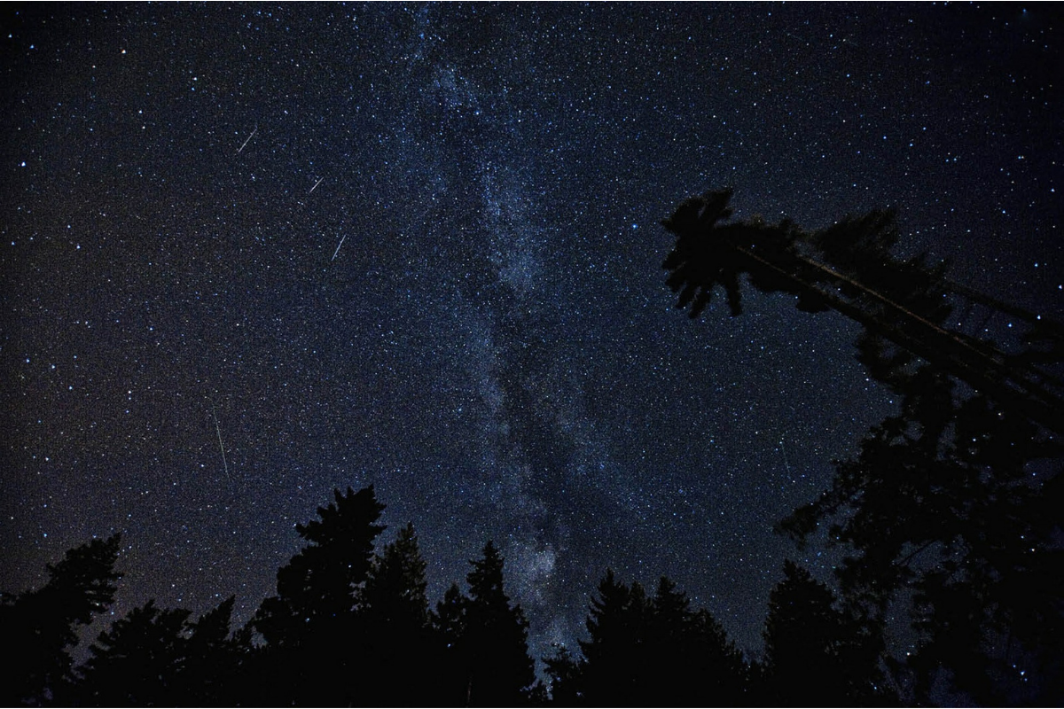 Hermosa lluvia de estrellas Perseidas se podrán ver esta semana