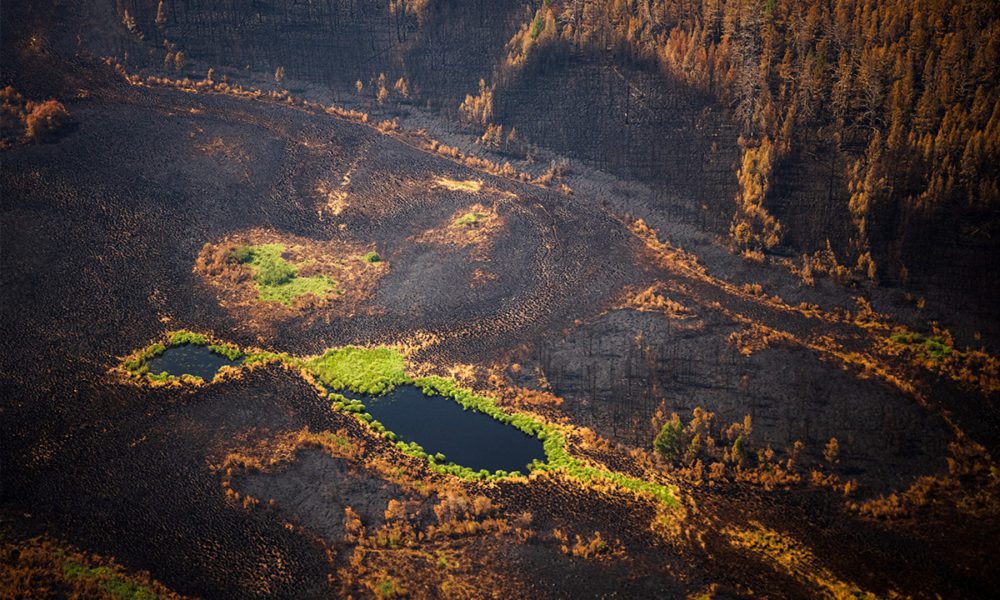 Incendios forestales en Siberia se agravan; el humo ya alcanzó el Polo Norte