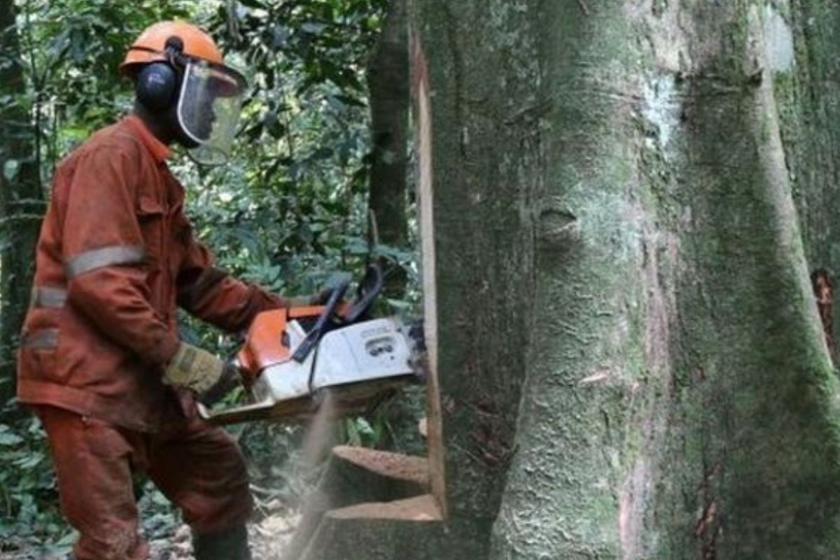 Centenar de países se comprometen a reducir emisiones de metano y salvar los bosques en la COP26