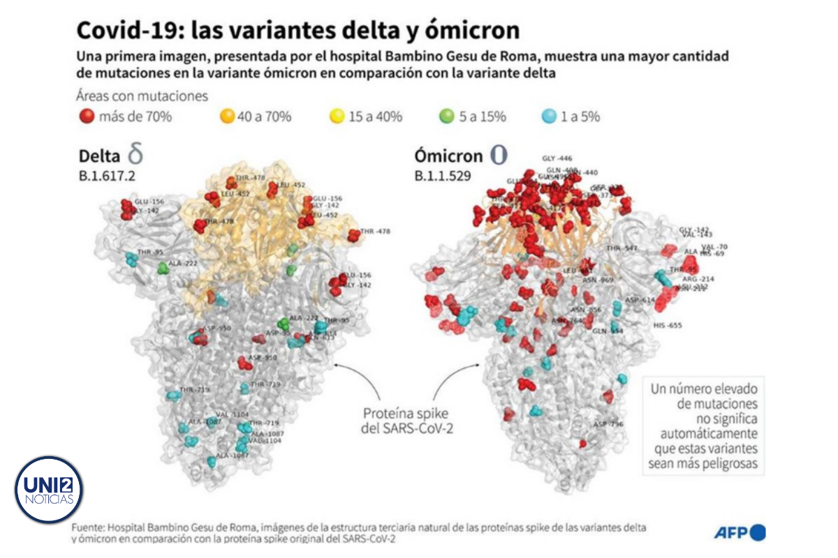 Esto es lo que revela la primera imagen de ‘Ómicron’