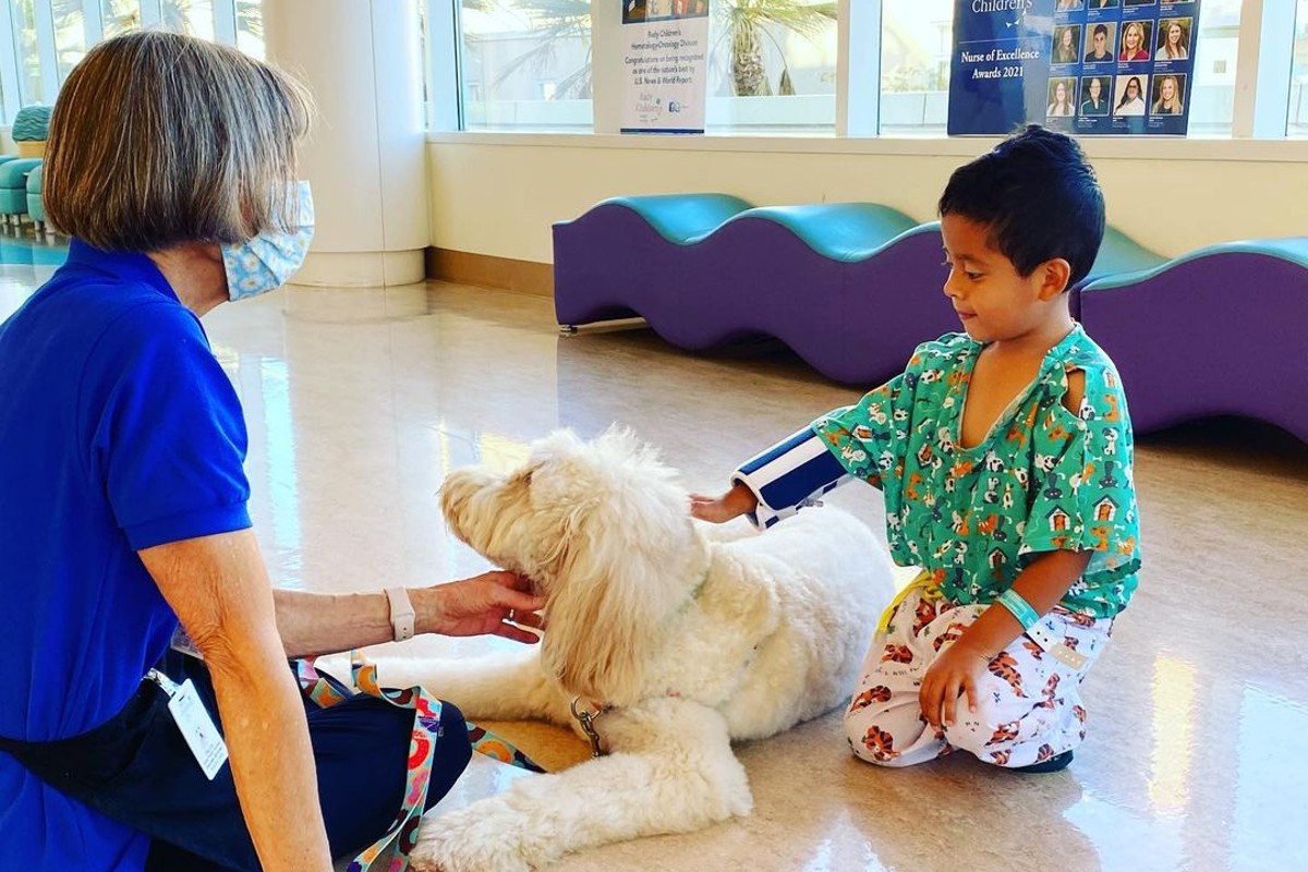 Perrito ayuda a “calmar los nervios” de niños que reciben la vacuna contra Covid-19