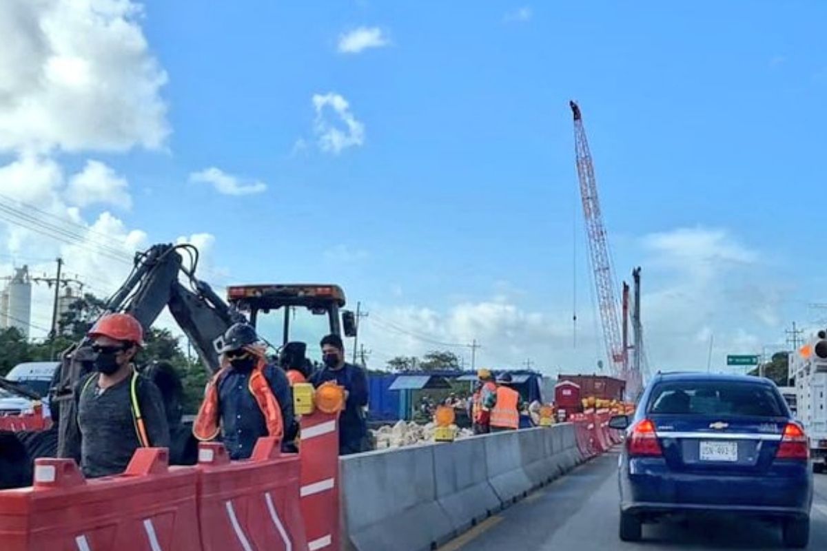 Talaron 20 mil árboles, pero el Tren Maya ya no pasará por el centro de Playa del Carmen