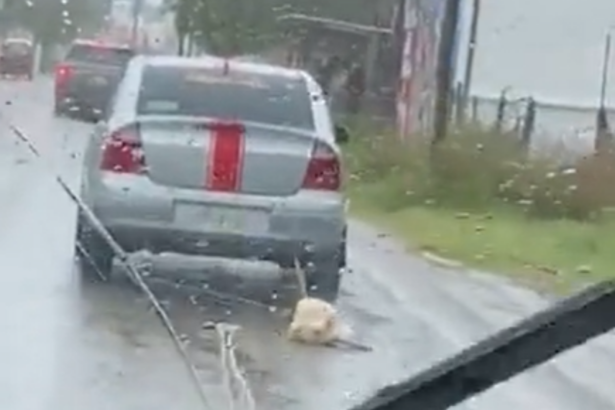 Tras ser amarrado y arrastrado por un auto, perrito muere en Tabasco