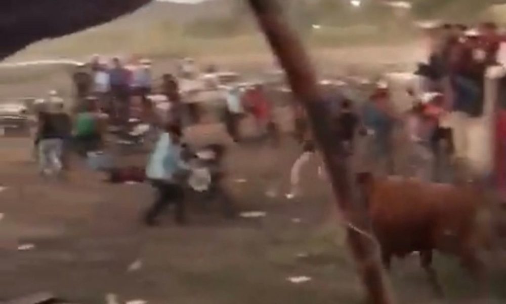 Toro escapa de su corral y embiste a asistentes de jaripeo en Hidalgo