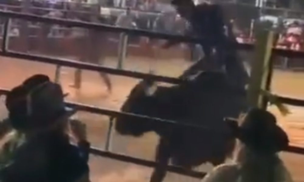 ¿Venganza? Toro sale del ruedo y embiste a asistentes de jaripeo en Michoacán