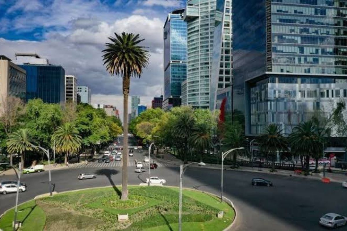 Personal de la Sedema comienza a tratar restos de “La Palma” de Paseo de la Reforma