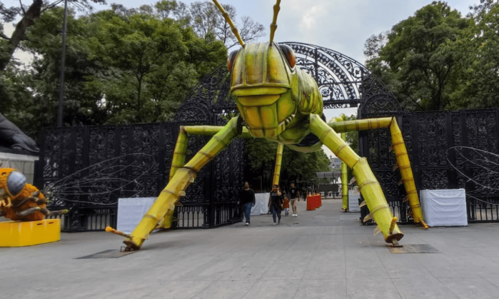 Festival Insecta llegará a Bosque de Chapultepec con 11 monumentales insectos